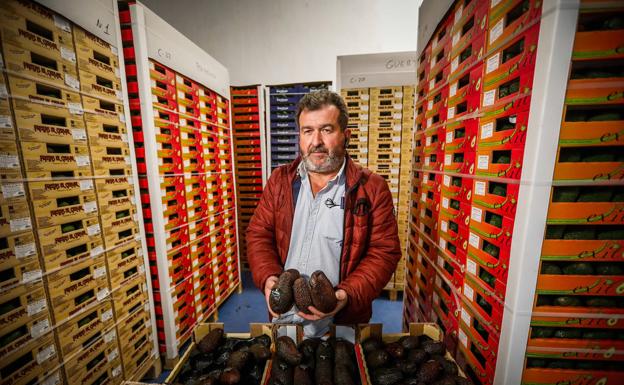 Gregorio en una nevera de su almacén rodeado de cajas de fruta a las que no le puede dar salida. 