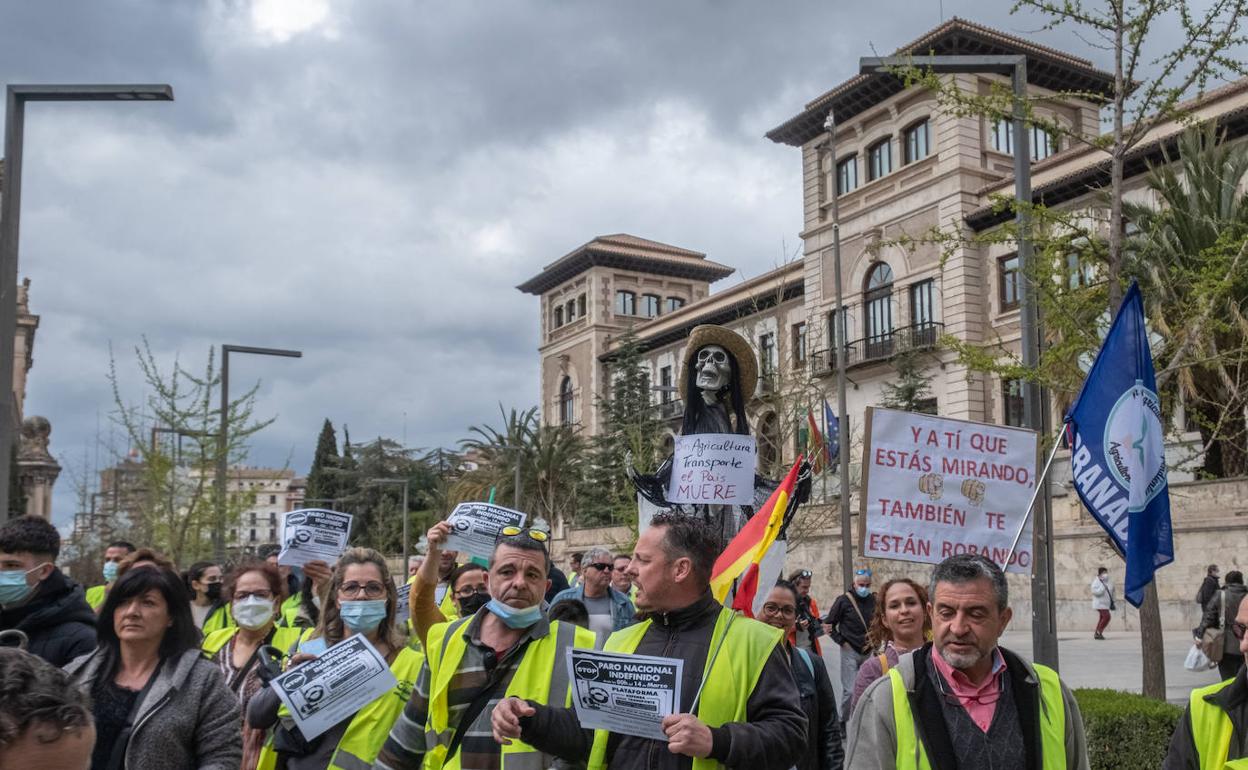 La manifestación recorrió las principales calles del Centro de Granada.