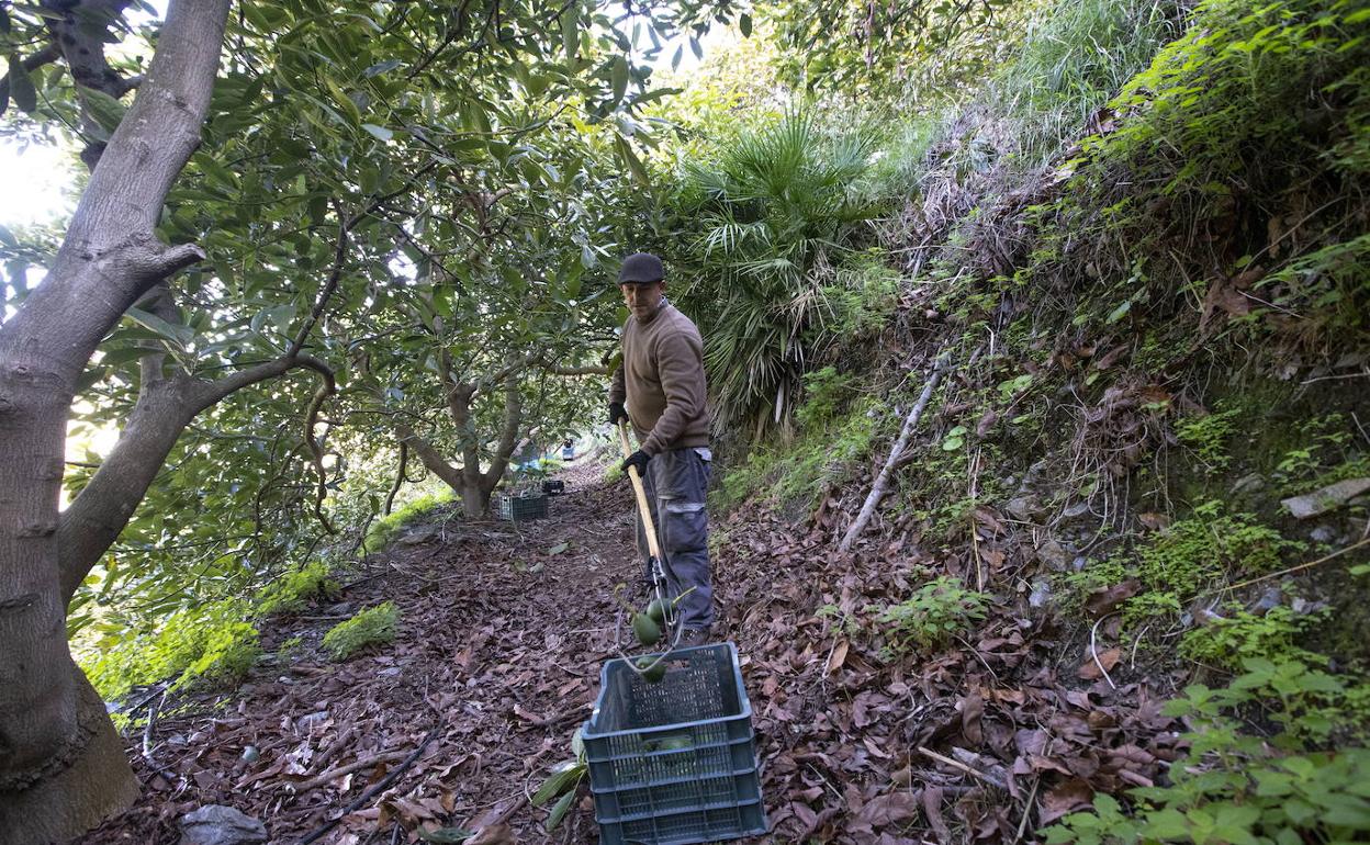 Las obras en la EDAR de La Herradura aliviarán la sed de 800 hectáreas en cultivo