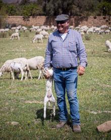 Imagen secundaria 2 - El rebaño de Gabriel Gallegos durante su ruta hacia la Alpujarra. 