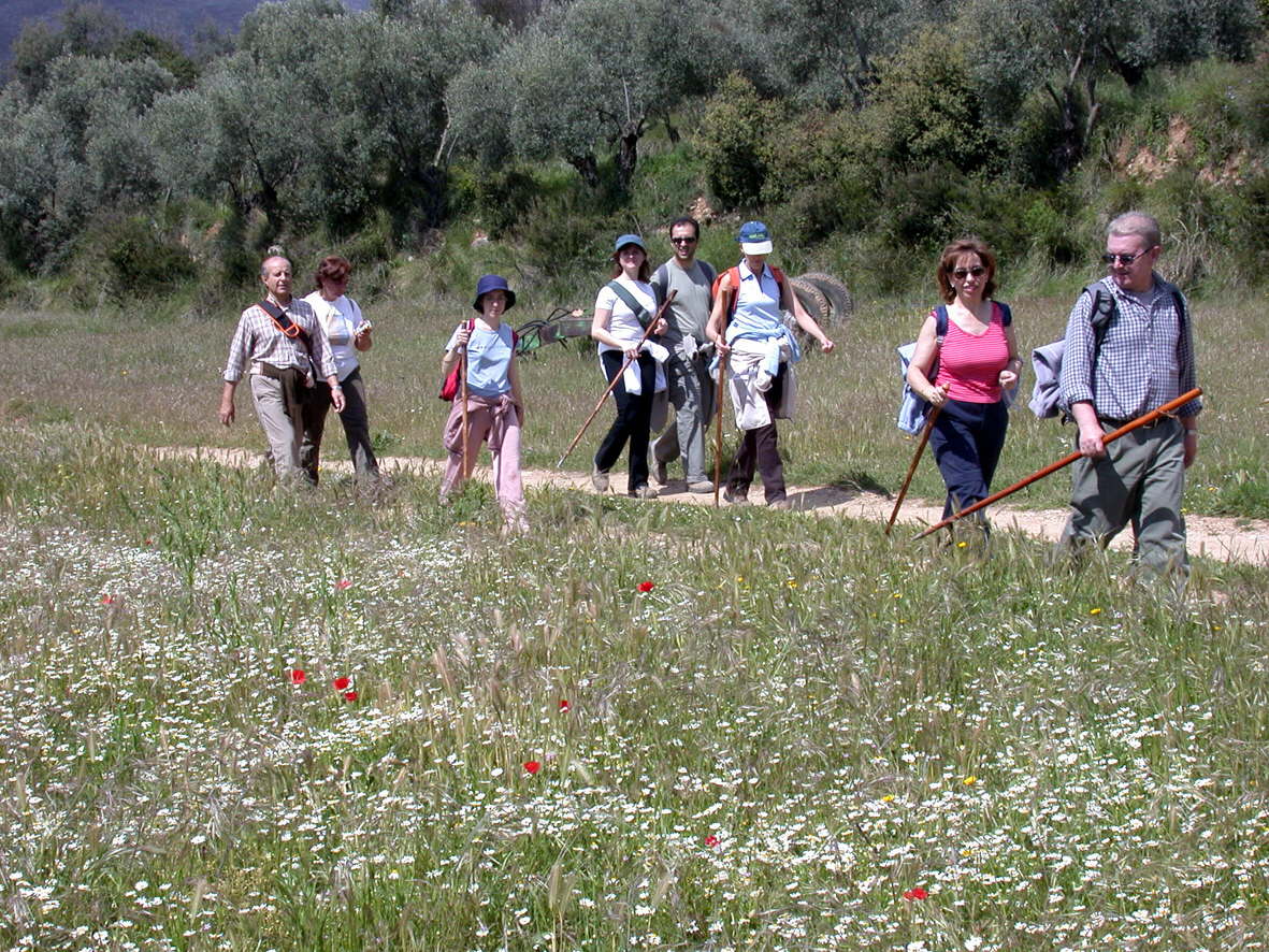 Imagen secundaria 1 - Una ruta por La Resinera de Granada para tocar el cielo