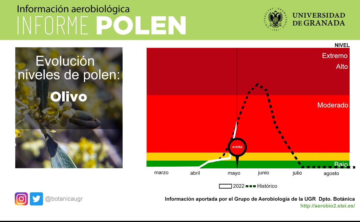La atmósfera de Granada se carga de granos de polen y pone en alerta a los alérgicos