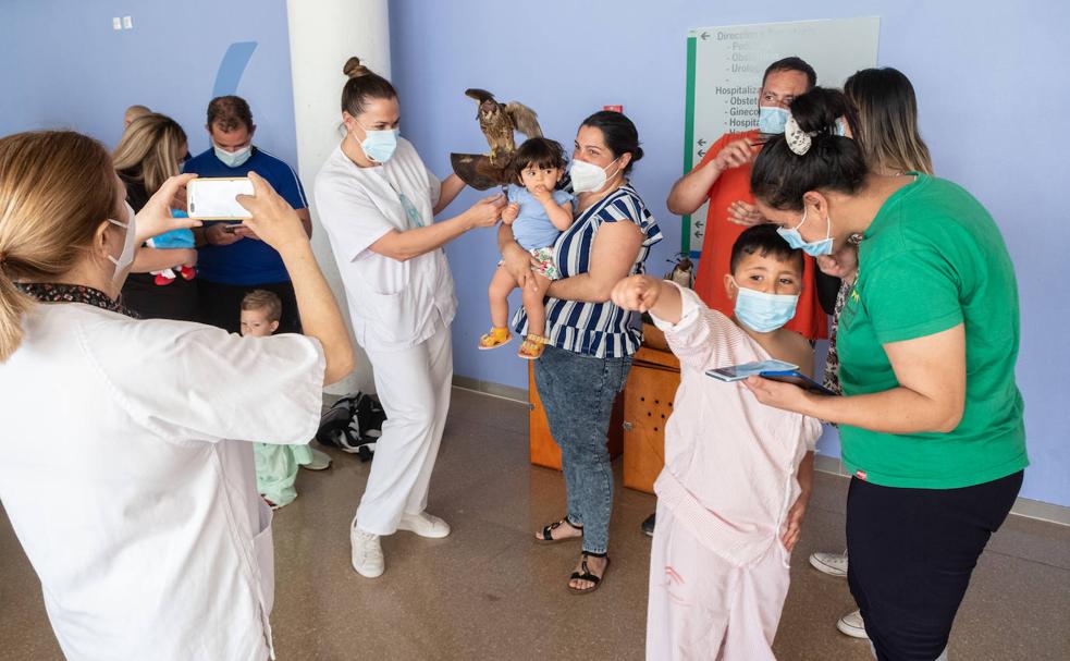 Niños, padres y sanitarios disfrutaron de las actividades, especialmente de los halcones del aeropuerto.
