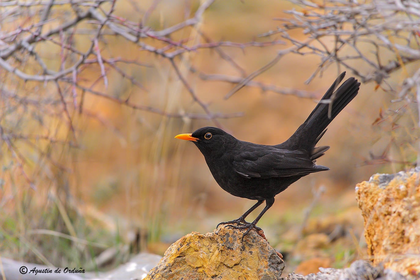 Fotos: Un tesoro de la naturaleza llamado Sierra de Baza