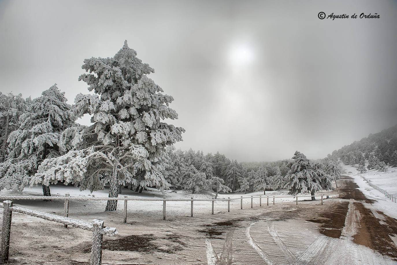 Fotos: Un tesoro de la naturaleza llamado Sierra de Baza