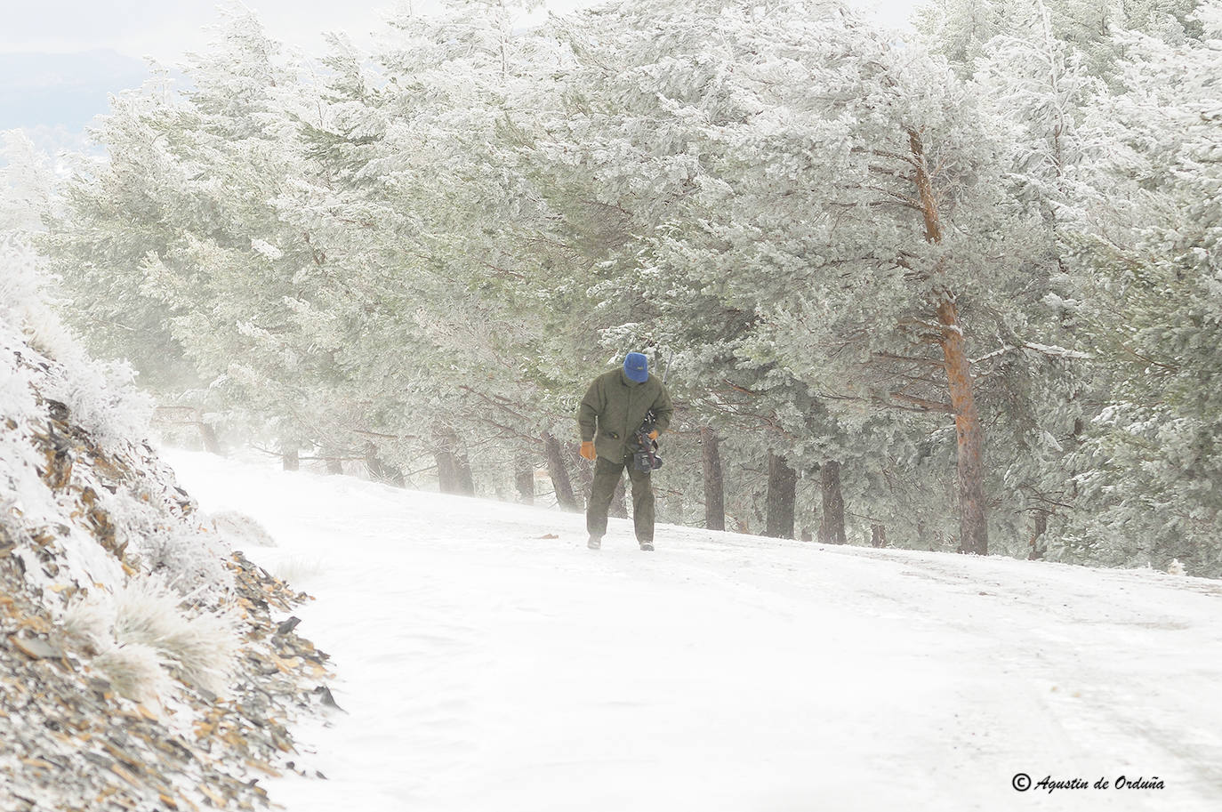 Fotos: Un tesoro de la naturaleza llamado Sierra de Baza