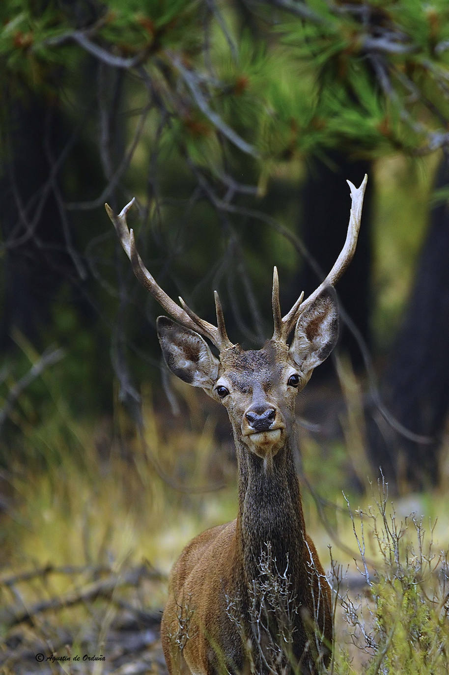 Fotos: Un tesoro de la naturaleza llamado Sierra de Baza