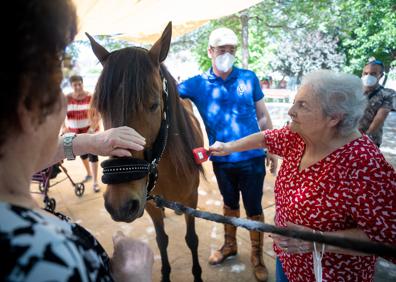 Imagen secundaria 1 - Vicente (arriba) peina con soltura las crines del equino. Abajo (izquierda), José Ortiz sujeta a la yegua mientras otra usuaria la toca. Abajo (derecha), Constantina y Amelia interactúan con el animal. 