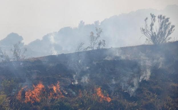 Imagen. Las imágenes del incendio desde dentro.