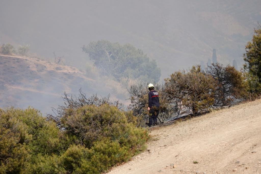 El fuego se ha originado en una zona cercana a viviendas y la Abadía del Sacromonte