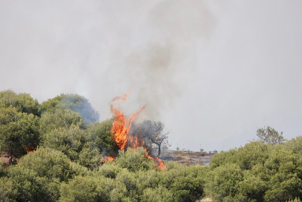 El fuego se ha originado en una zona cercana a viviendas y la Abadía del Sacromonte