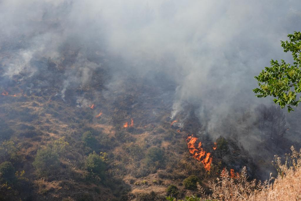 El fuego se ha originado en una zona cercana a viviendas y la Abadía del Sacromonte