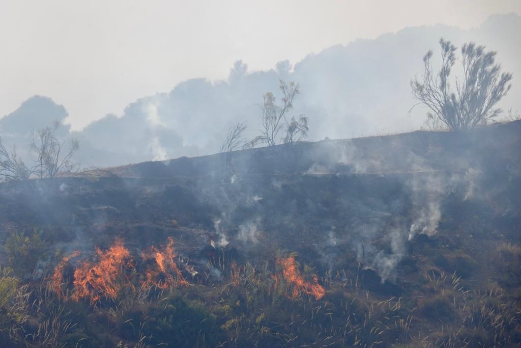 El fuego se ha originado en una zona cercana a viviendas y la Abadía del Sacromonte