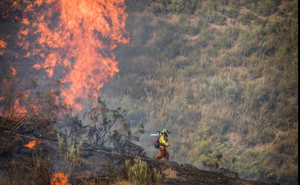 Un bombero del Infoca, bajo las llamas.