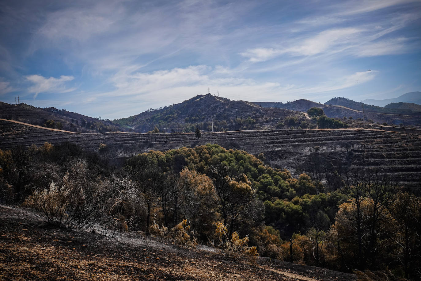 Visitamos el entorno afectado por el fuego declarado el pasado domingo por la tarde