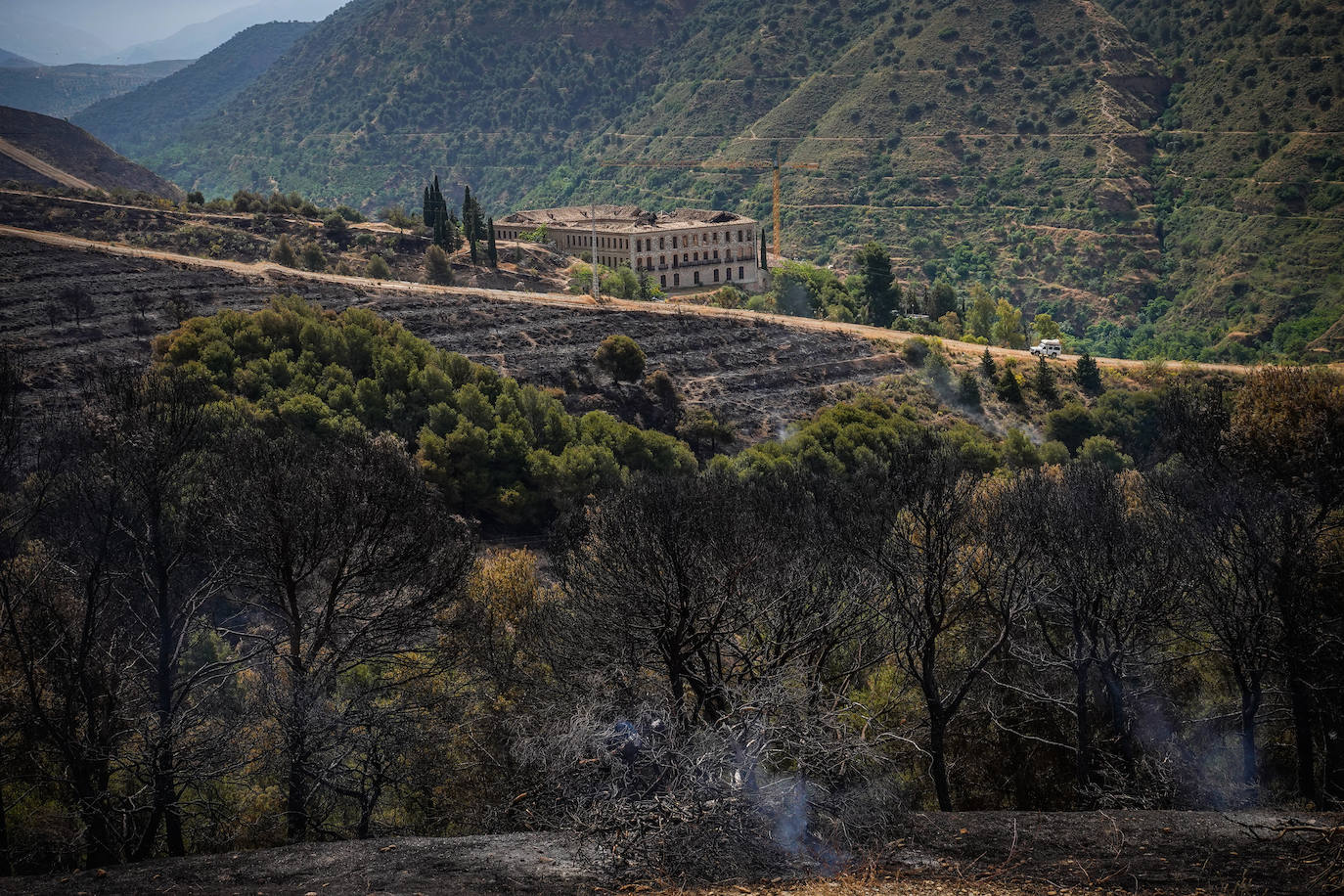 Visitamos el entorno afectado por el fuego declarado el pasado domingo por la tarde