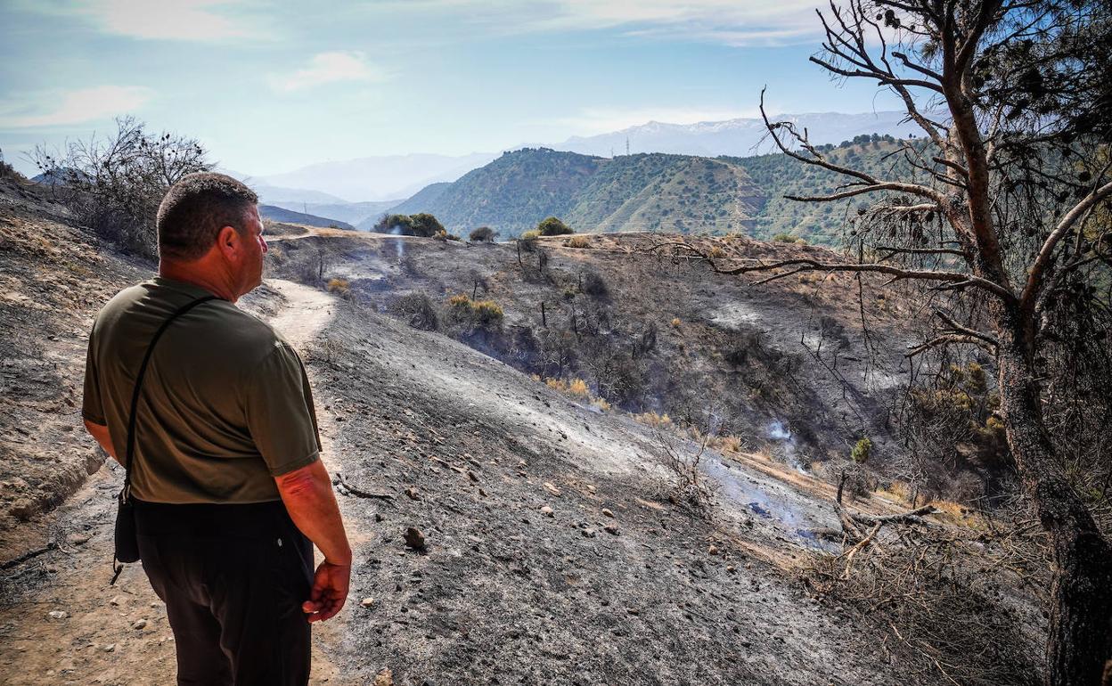 El delegado del Gobierno lamenta el «daño incalculable» al Cerro de San Miguel