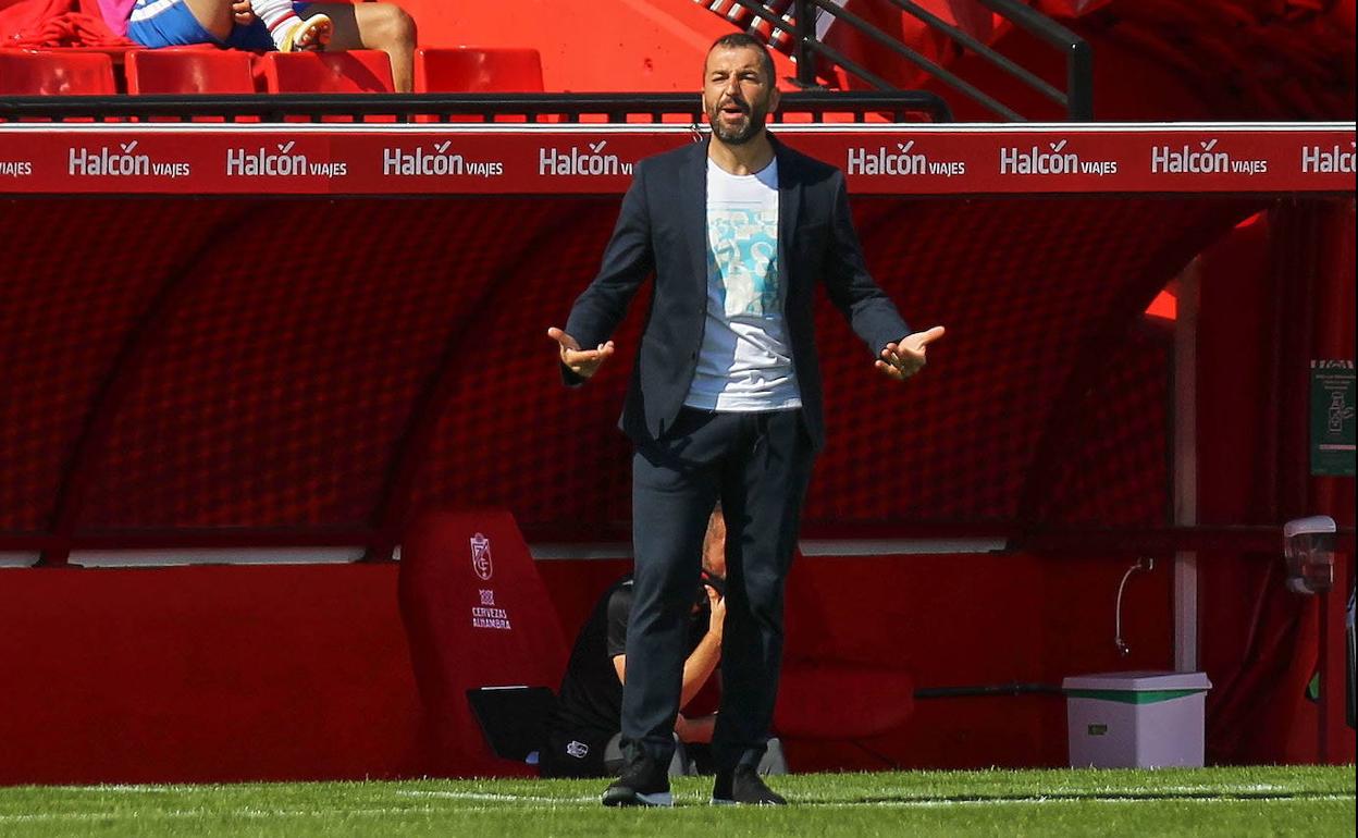 Diego Martínez, en Los Cármenes durante un partido como entrenador del Granada. 