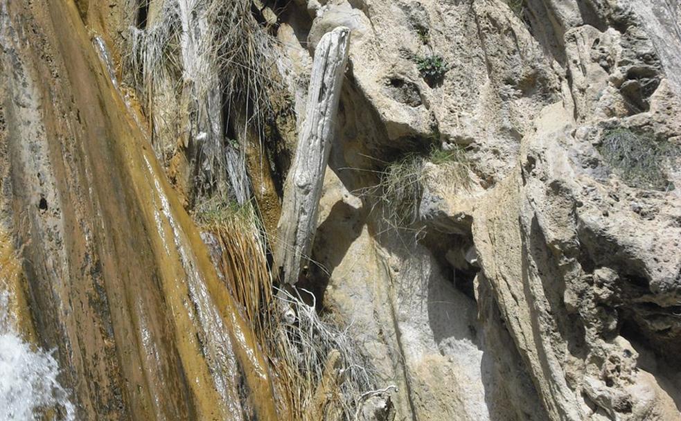 Cascada de los Árboles Petrificados.