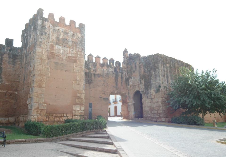 Vista parcial de Niebla