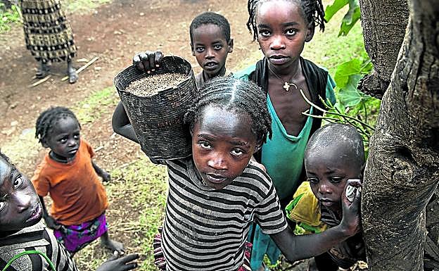 Los africanos afectados por crisis humanitarias se han multiplicado por once en los últimos cinco años. 