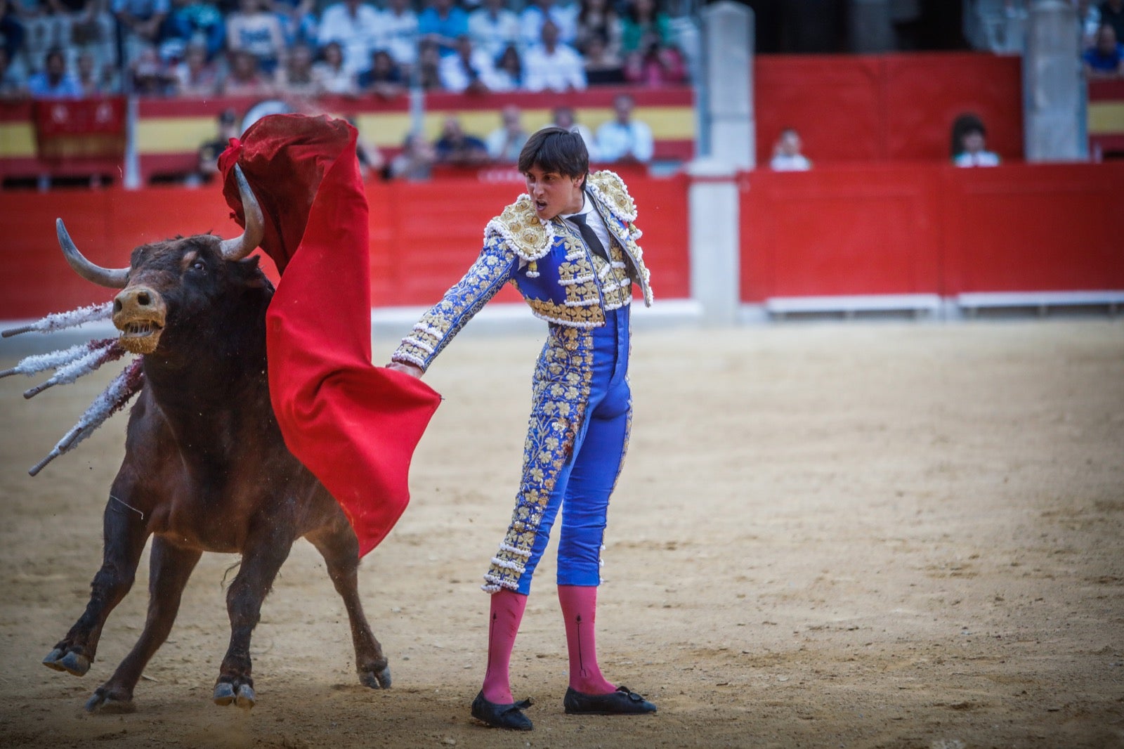 La afición taurina disfrutó de una tarde triunfal.