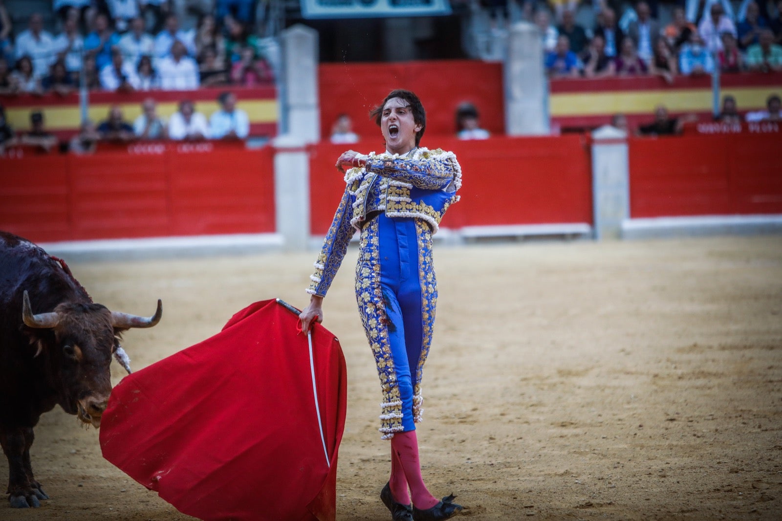 La afición taurina disfrutó de una tarde triunfal.