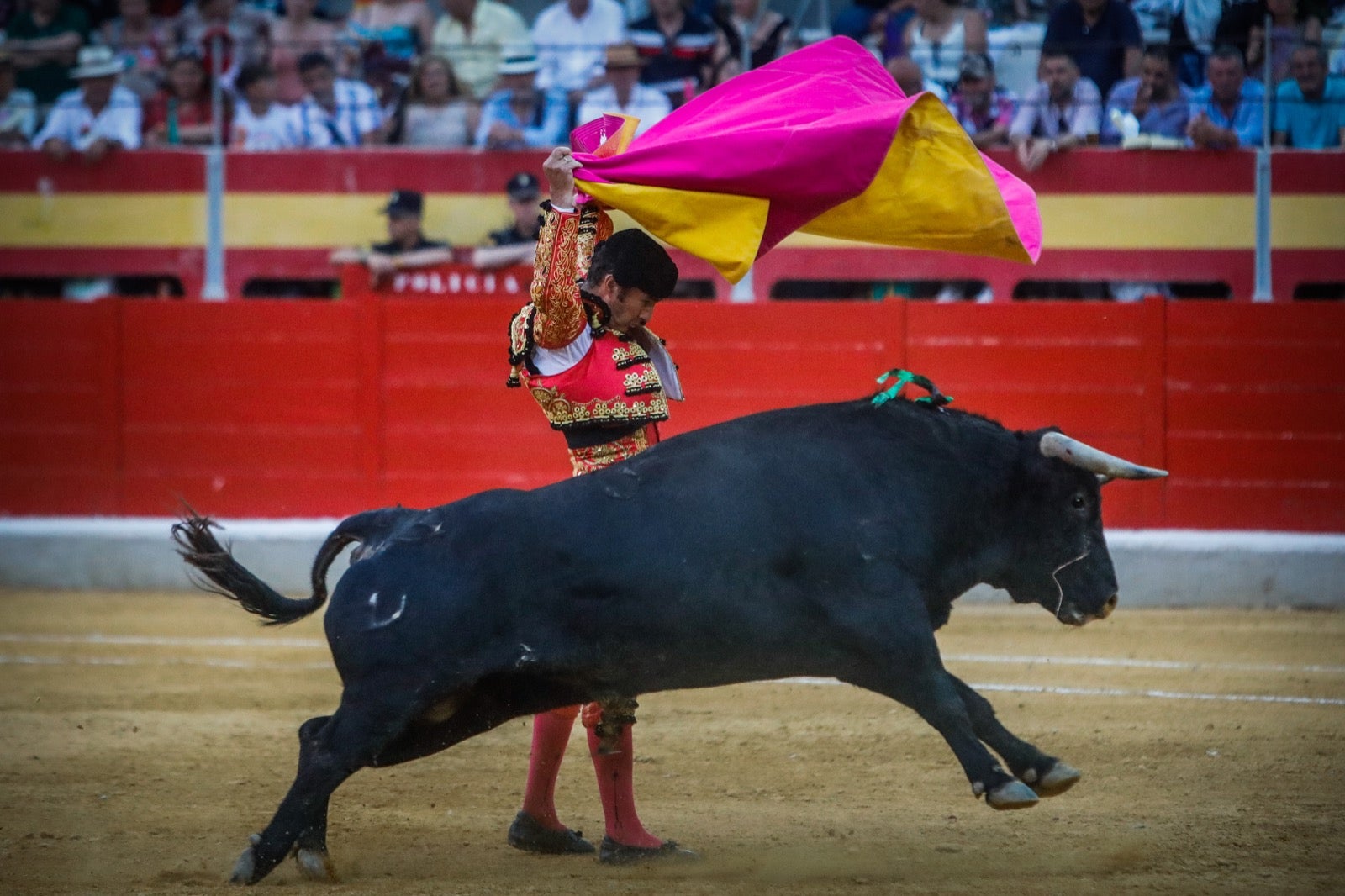 La afición taurina disfrutó de una tarde triunfal.