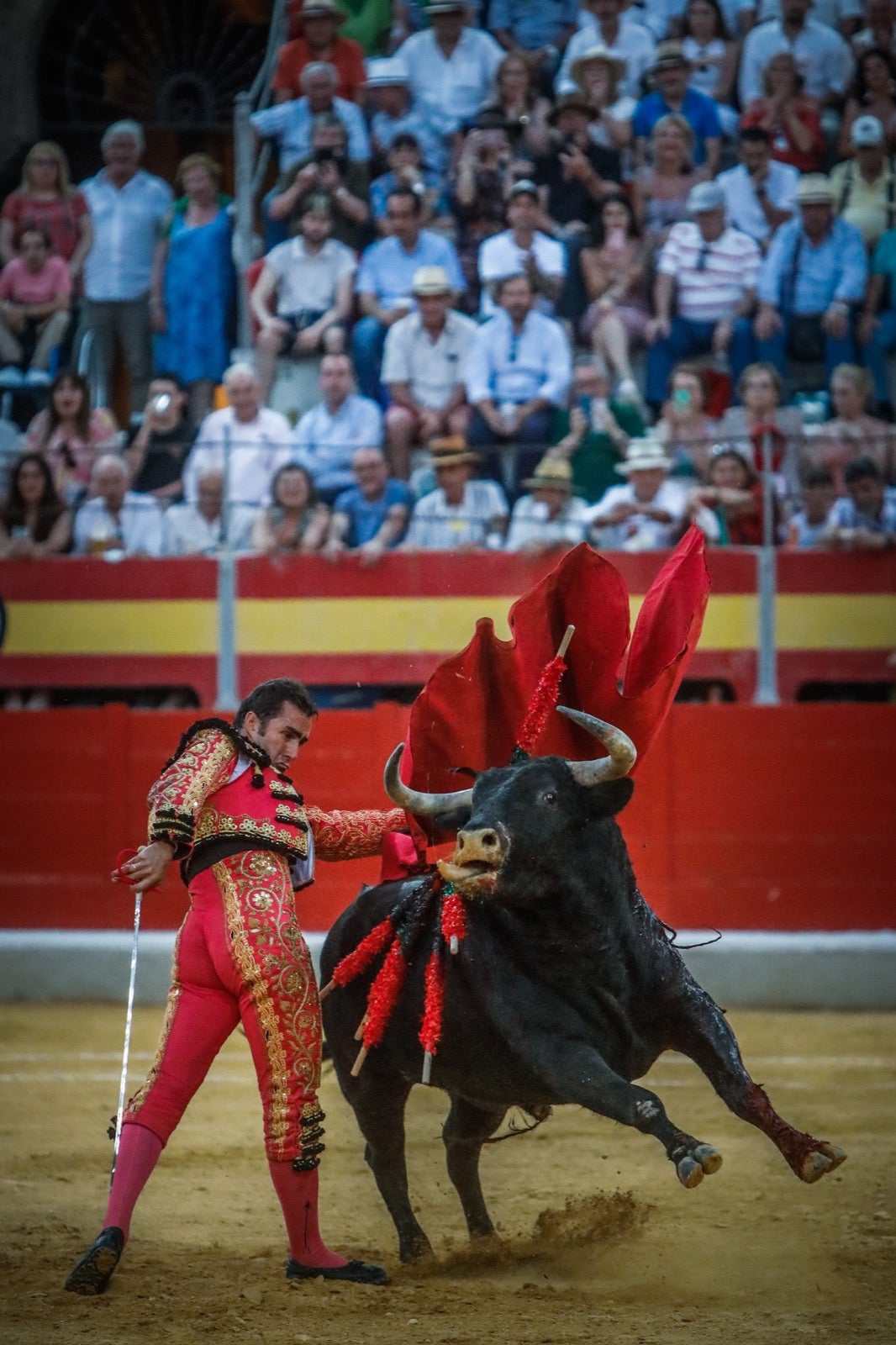 La afición taurina disfrutó de una tarde triunfal.