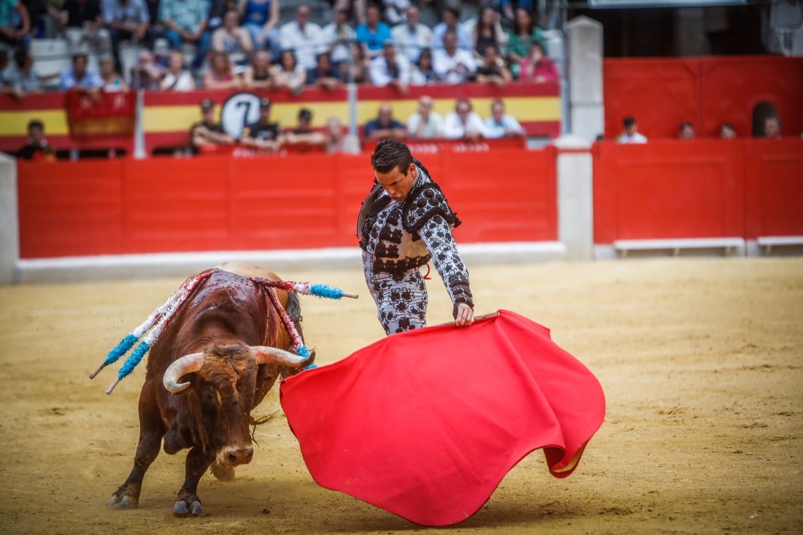 La afición taurina disfrutó de una tarde triunfal.