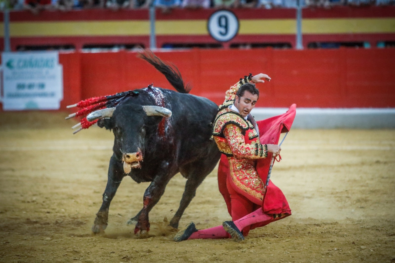 El 'Fandi' durante la corrida del pasado jueves en Granada. 