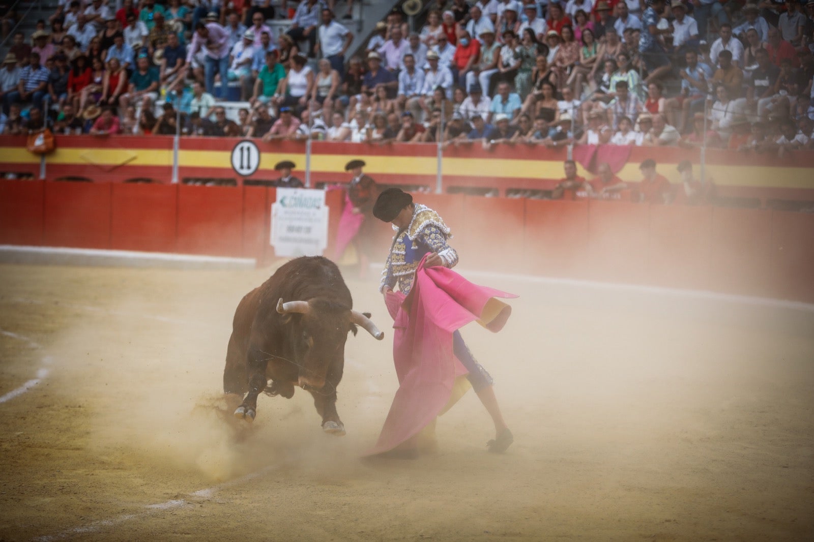 La afición taurina disfrutó de una tarde triunfal.