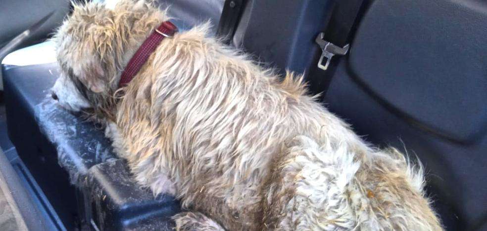 Últimas noticias de Granada este jueves