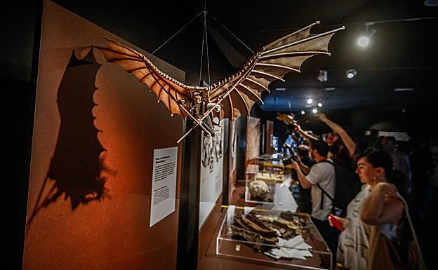 Imagen principal - Detalles de la exposición. 