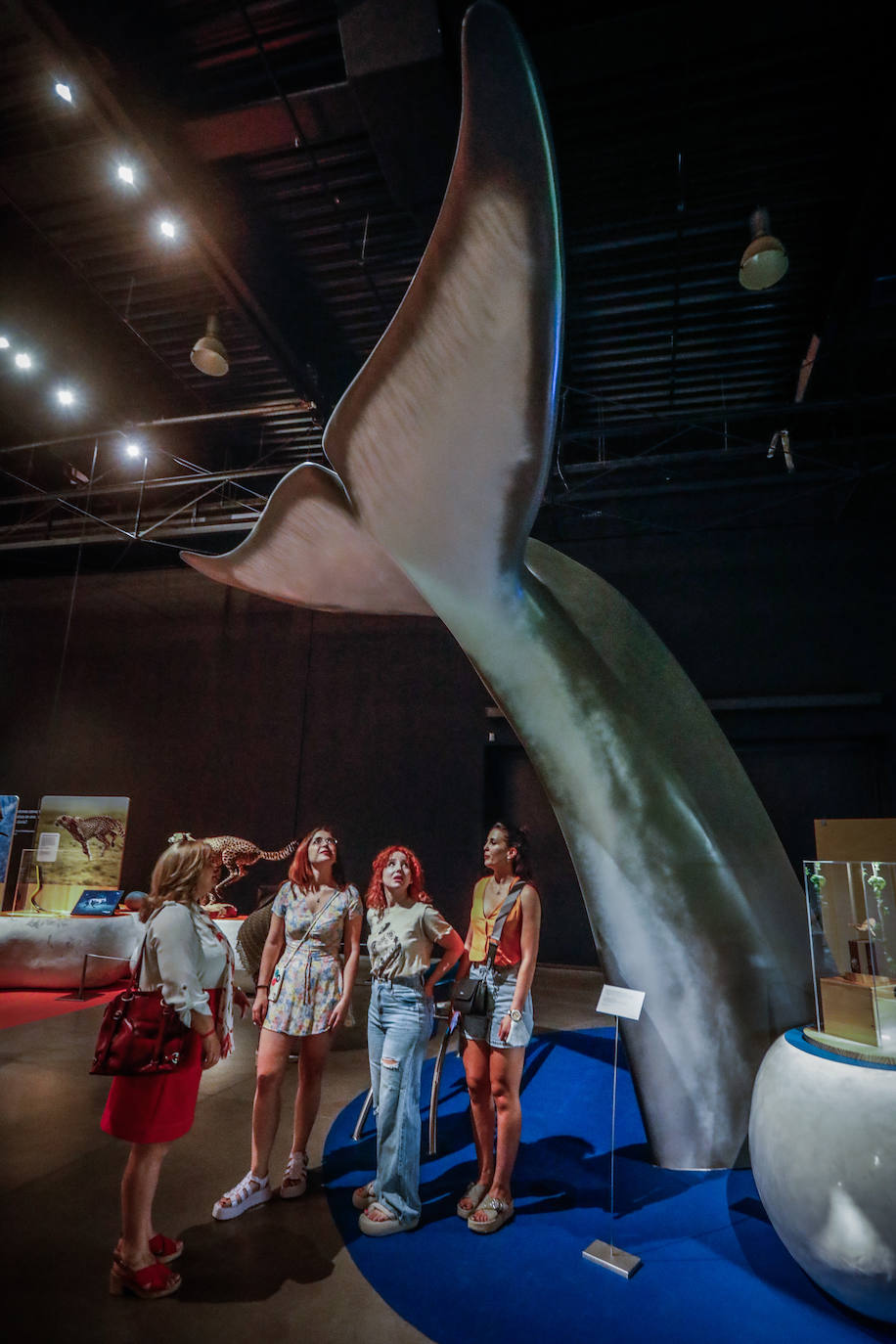 Una espectacular exposición muestra cómo la ciencia, la ingeniería o la arquitectura copian la naturaleza para lograr avances para el ser humano