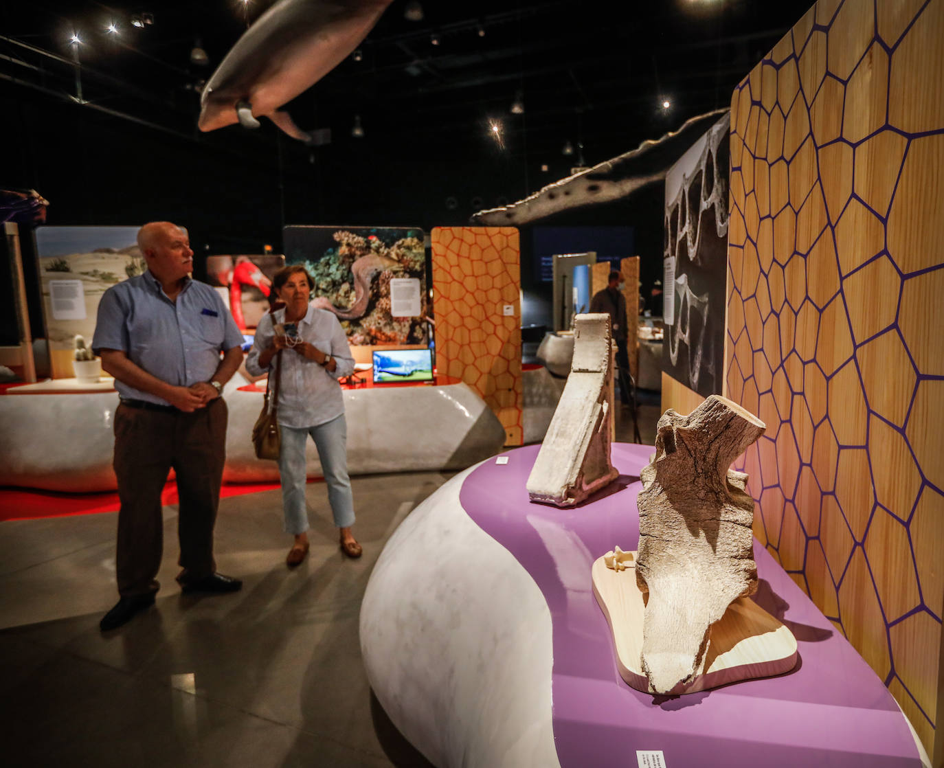 Una espectacular exposición muestra cómo la ciencia, la ingeniería o la arquitectura copian la naturaleza para lograr avances para el ser humano