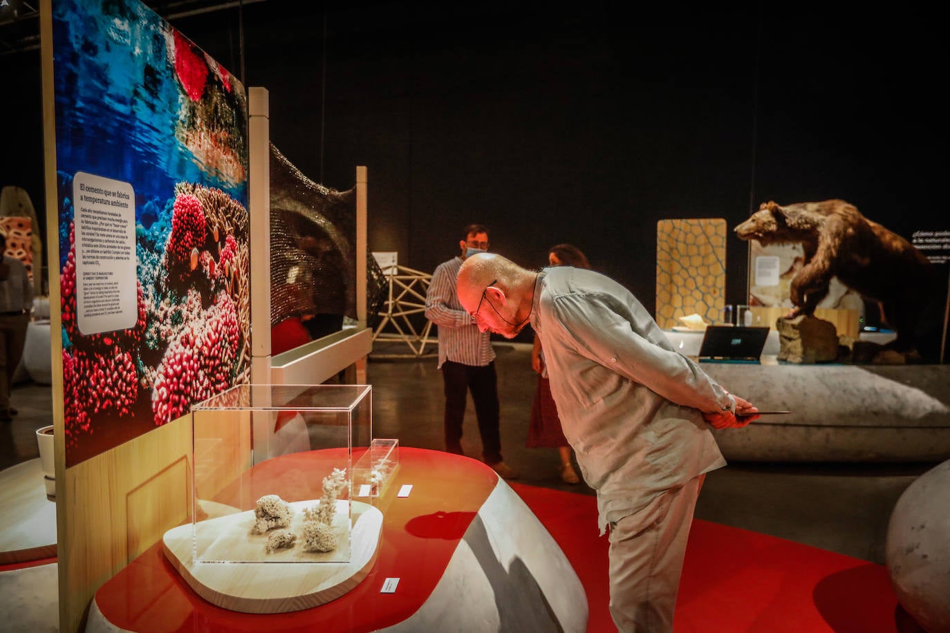 Una espectacular exposición muestra cómo la ciencia, la ingeniería o la arquitectura copian la naturaleza para lograr avances para el ser humano