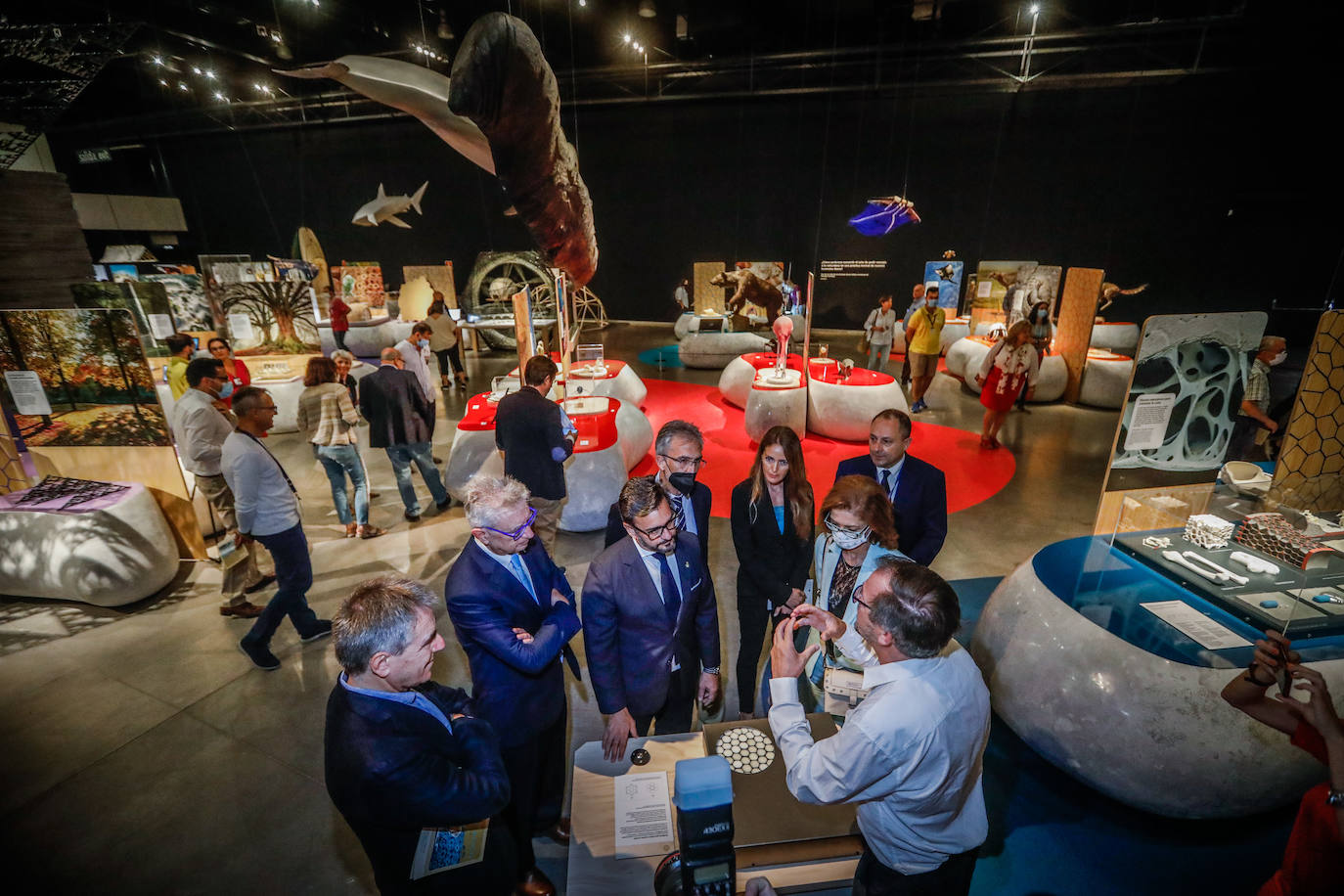 Una espectacular exposición muestra cómo la ciencia, la ingeniería o la arquitectura copian la naturaleza para lograr avances para el ser humano