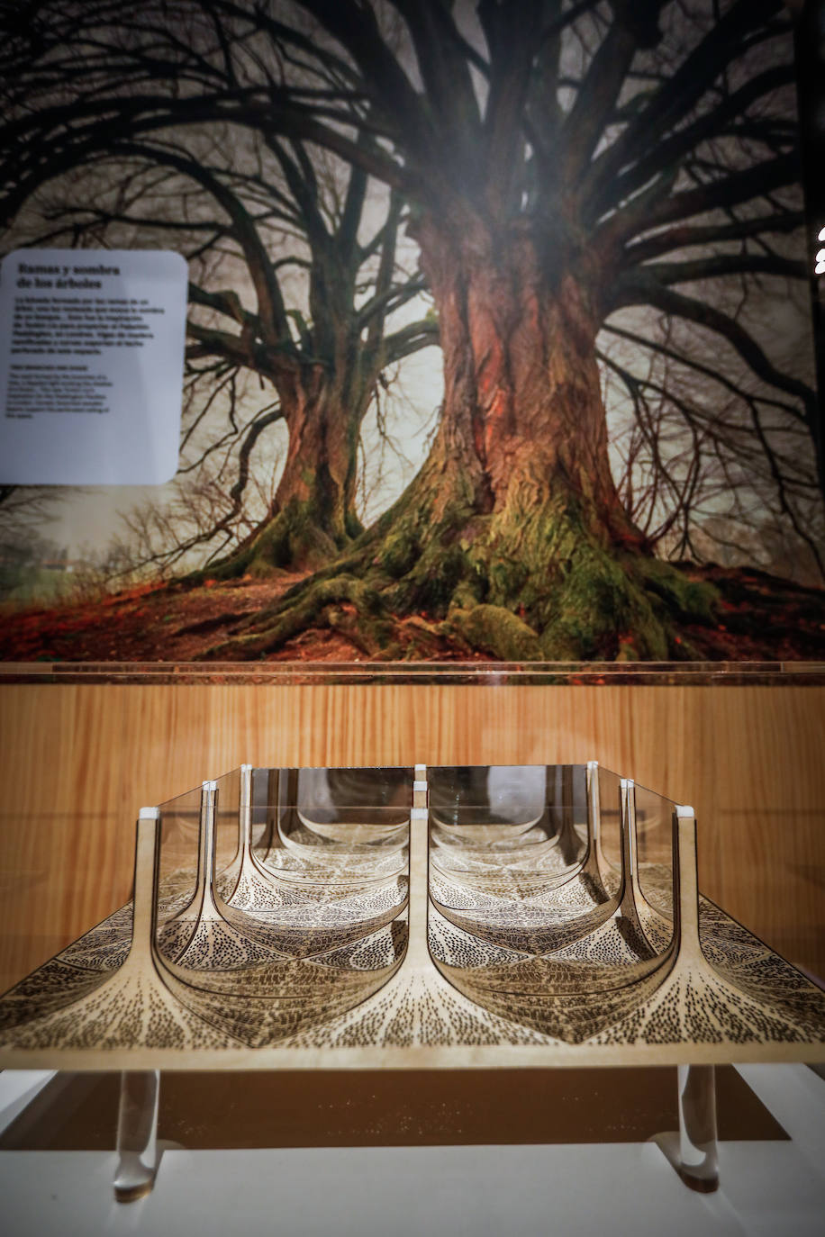 Una espectacular exposición muestra cómo la ciencia, la ingeniería o la arquitectura copian la naturaleza para lograr avances para el ser humano