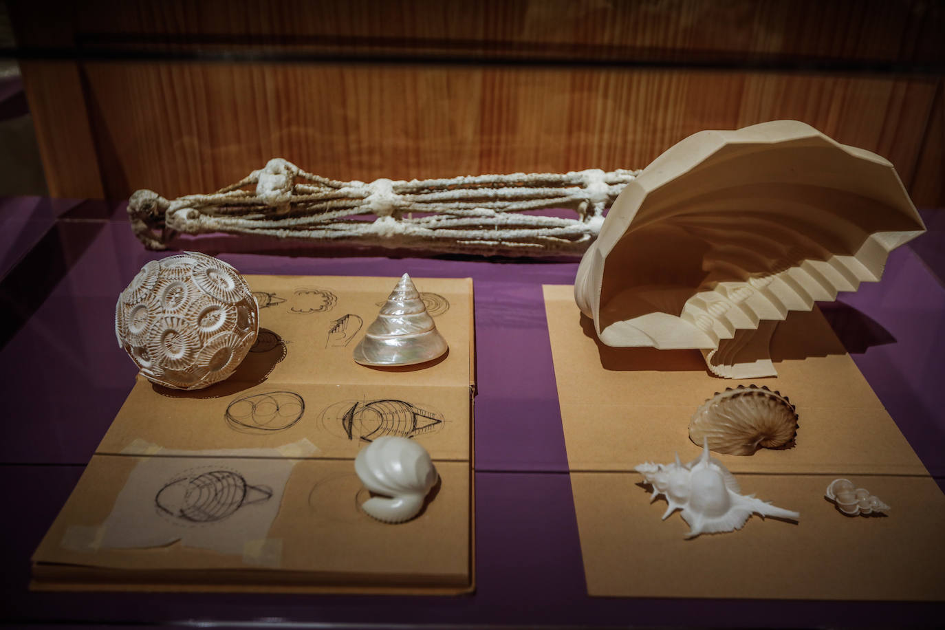 Una espectacular exposición muestra cómo la ciencia, la ingeniería o la arquitectura copian la naturaleza para lograr avances para el ser humano