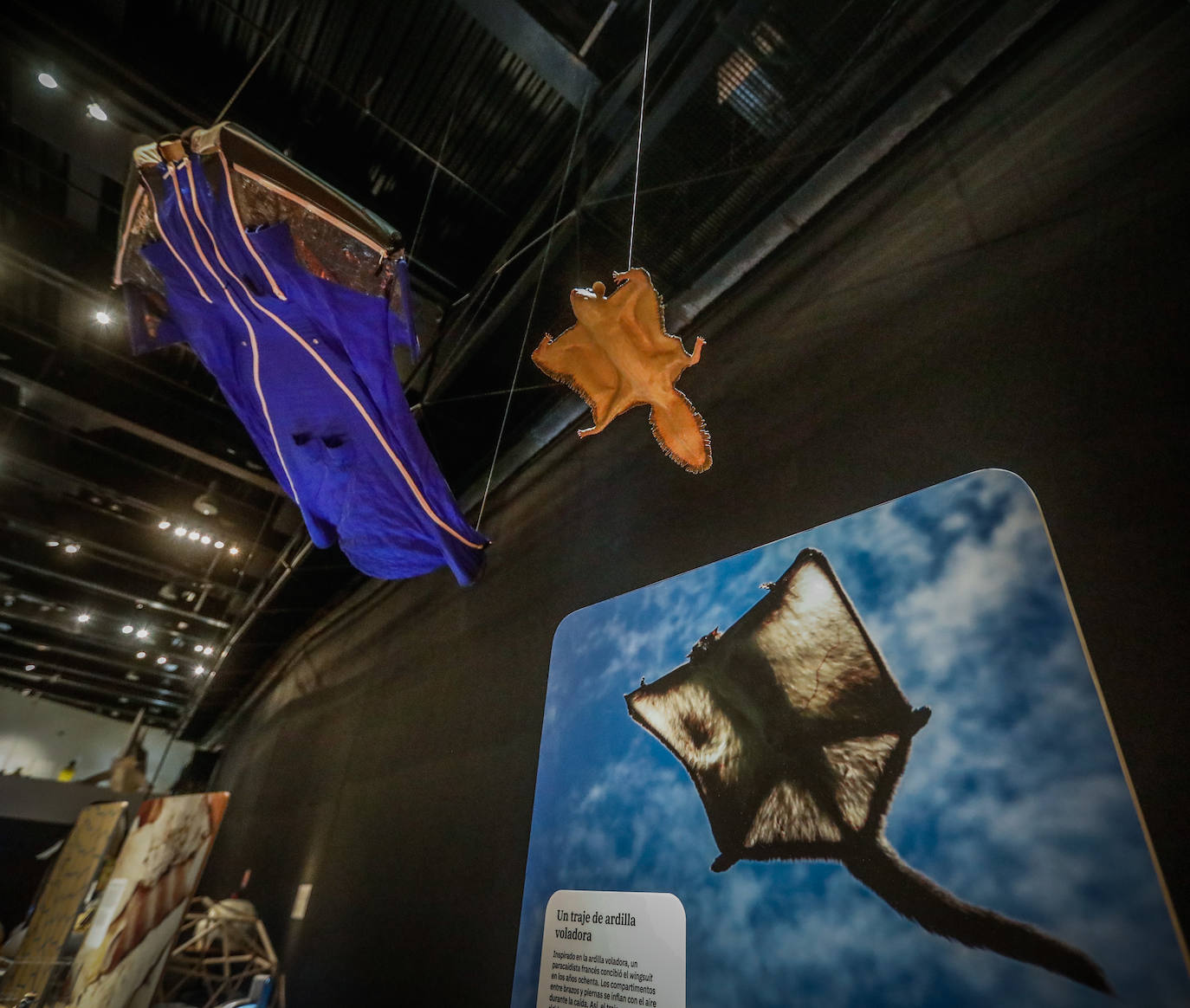 Una espectacular exposición muestra cómo la ciencia, la ingeniería o la arquitectura copian la naturaleza para lograr avances para el ser humano