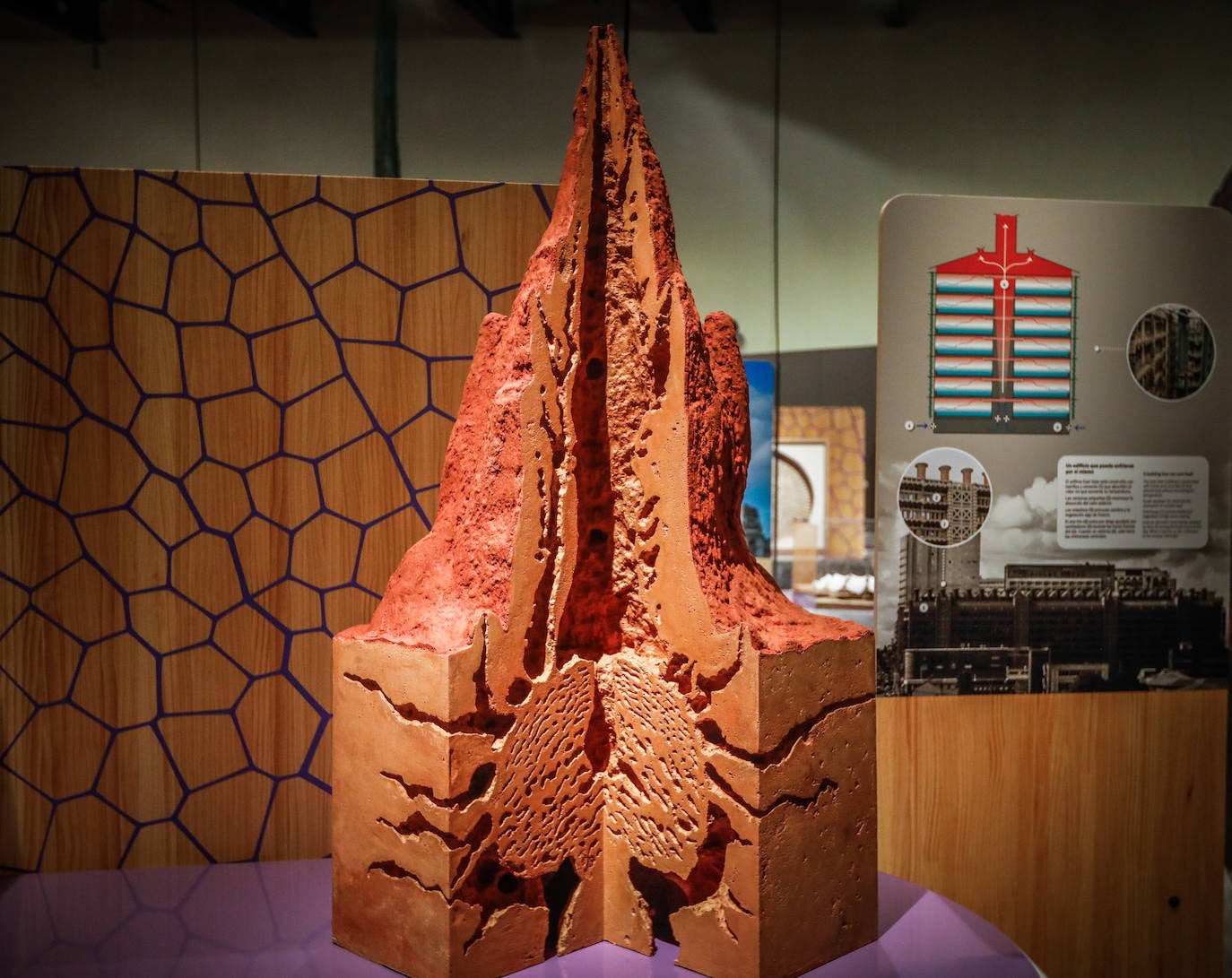 Una espectacular exposición muestra cómo la ciencia, la ingeniería o la arquitectura copian la naturaleza para lograr avances para el ser humano