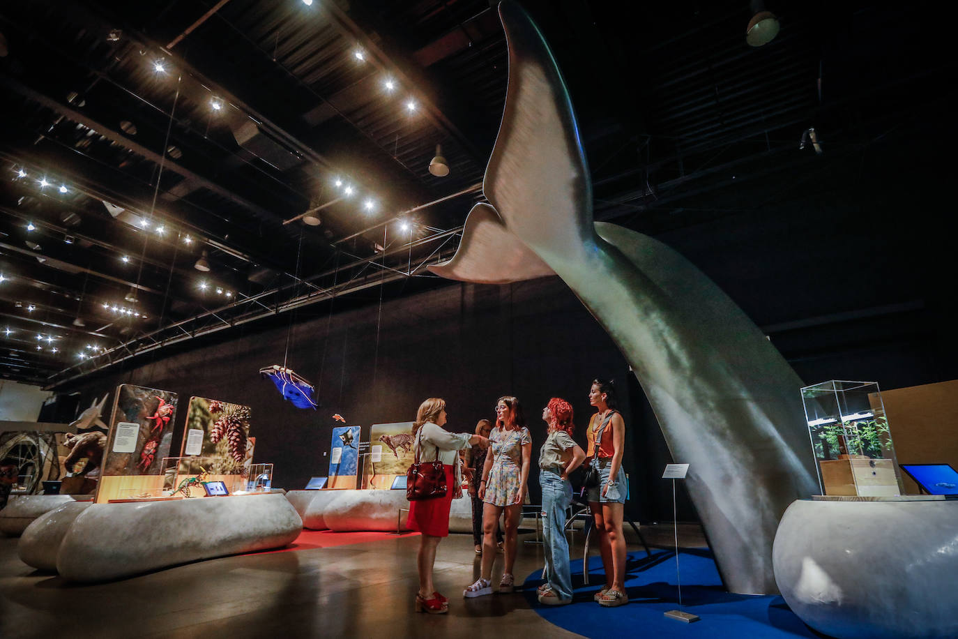 Una espectacular exposición muestra cómo la ciencia, la ingeniería o la arquitectura copian la naturaleza para lograr avances para el ser humano