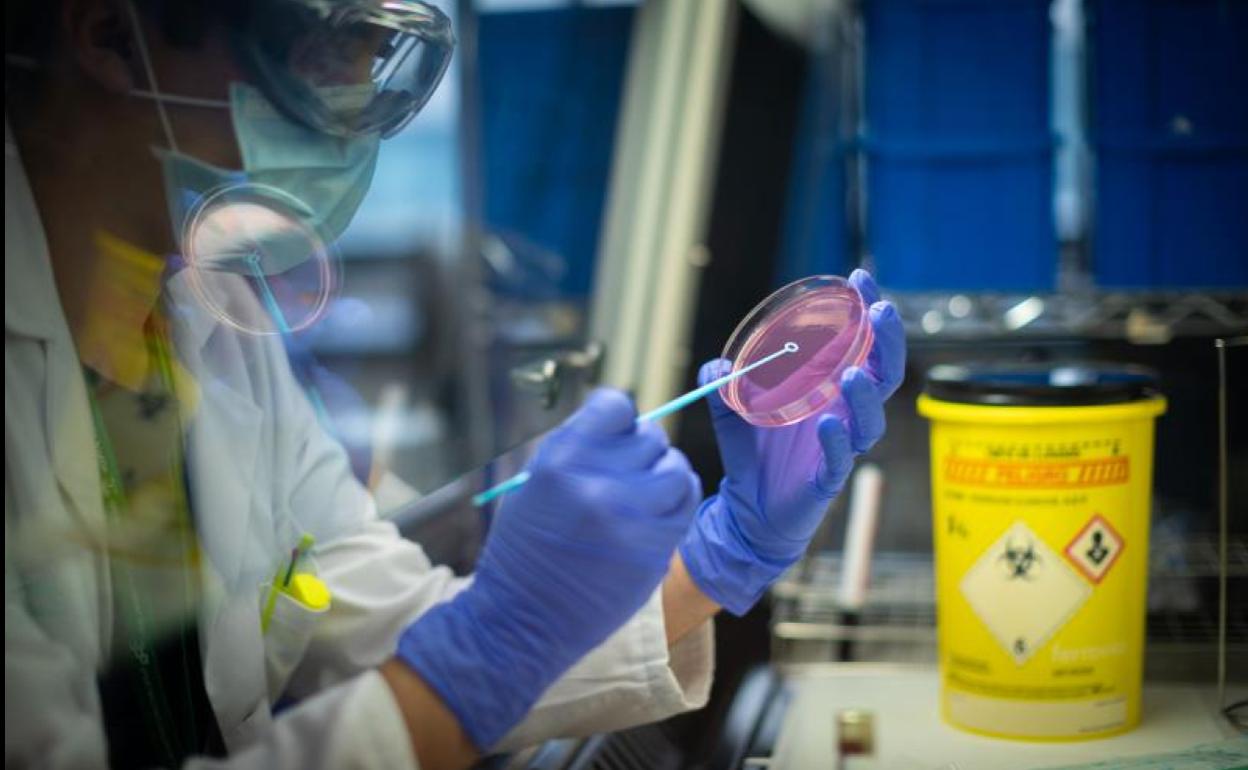 Laboratorio de Microbiología del Hospital del PTS