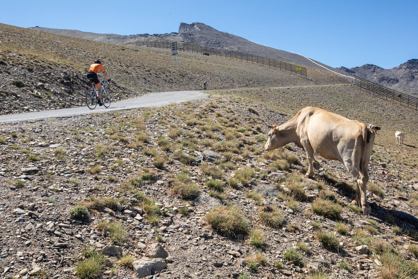 Más de 2.600 metros de desnivel positivo sobre un recorrido sin concesiones.