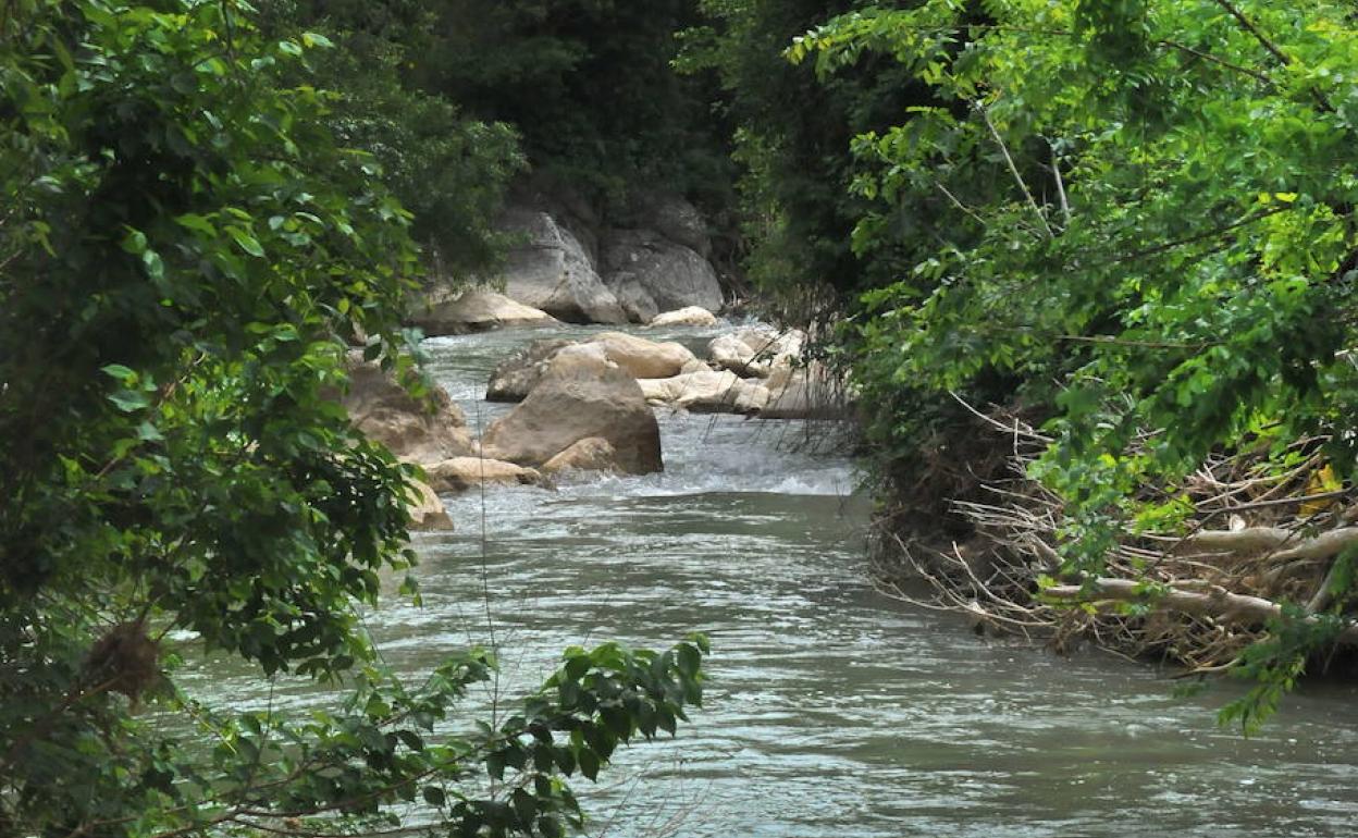 Imagen del río Velillos, entre Moclín y Olivares, un cauce donde se produjeron estos vertidos sancionados en 2019. 