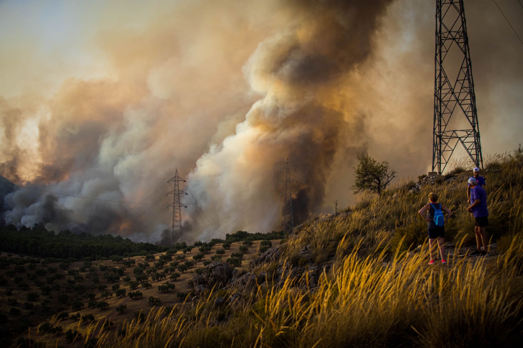 El fuego avanza por el área metropolitana de Granada.