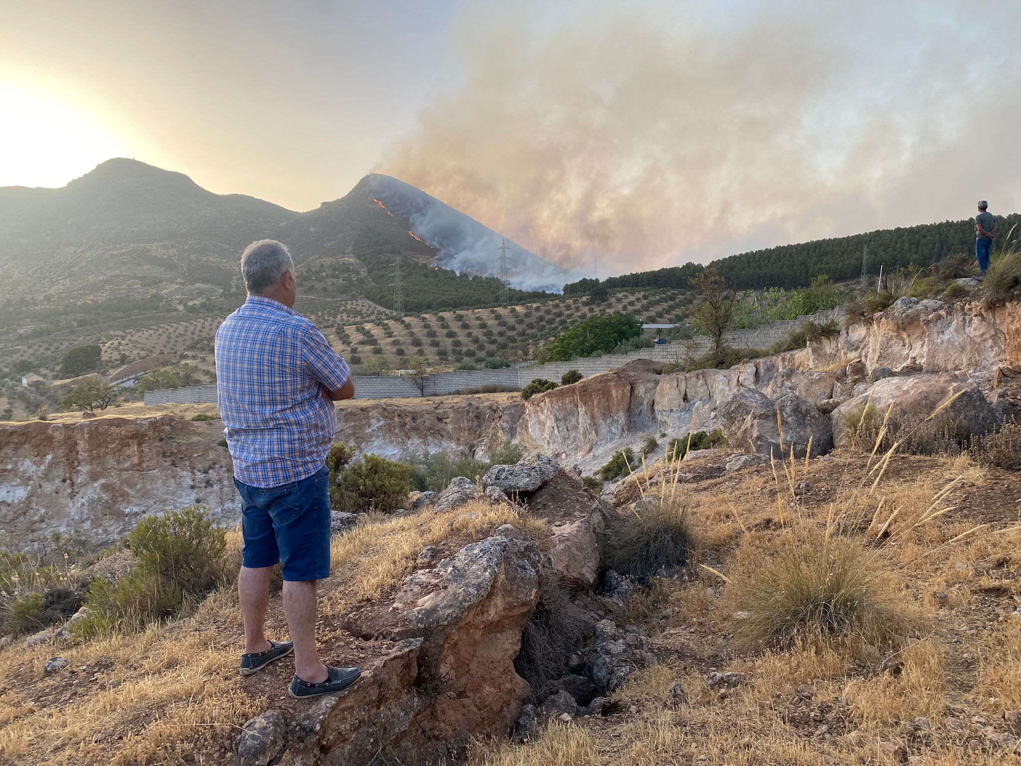 El fuego avanza por el área metropolitana de Granada.