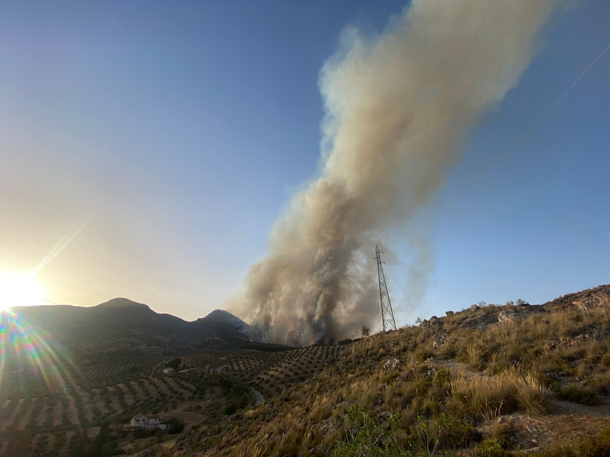 El fuego avanza por el área metropolitana de Granada.