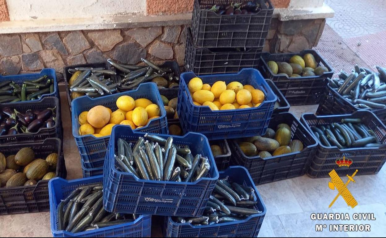 Fruta y verdura intervenida.